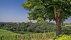 Sede scolastica