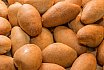 Corso di Panetteria